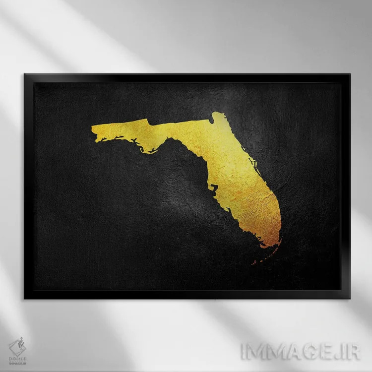 تابلو نقشه طلایی فلوریدا اثر آدریان بالدُوینو - نمای قابدار مشکی