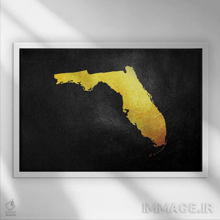 تابلو نقشه طلایی فلوریدا اثر آدریان بالدُوینو - نمای قابدار سفید