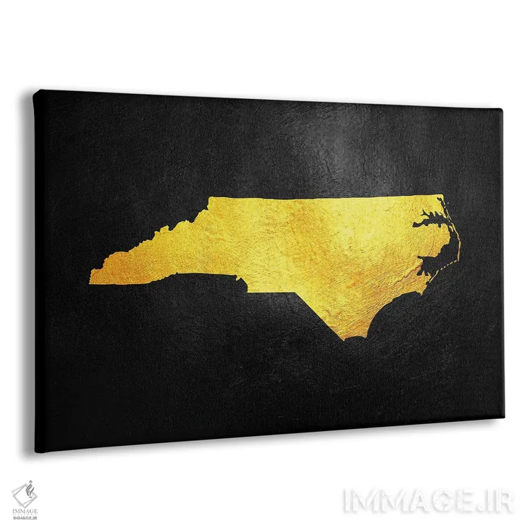 تابلو نقشه طلایی کارولینای شمالی اثر آدریان بالدُوینو - نمای پرسپکتیو محصول