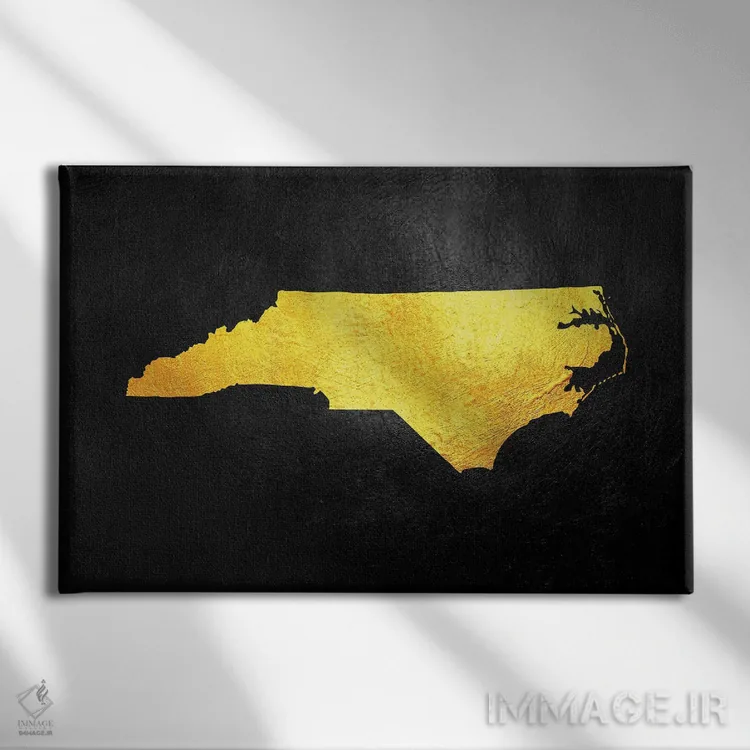 تابلو نقشه طلایی کارولینای شمالی اثر آدریان بالدُوینو - نمای روبهرو روی دیوار