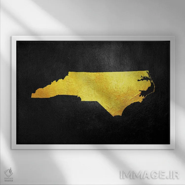 تابلو نقشه طلایی کارولینای شمالی اثر آدریان بالدُوینو - نمای قابدار سفید