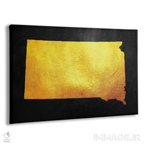 تابلو نقشه طلایی داکوتای جنوبی اثر آدریان بالدُوینو - نمای پرسپکتیو محصول