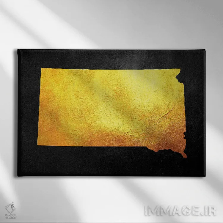 تابلو نقشه طلایی داکوتای جنوبی اثر آدریان بالدُوینو - نمای روبهرو روی دیوار