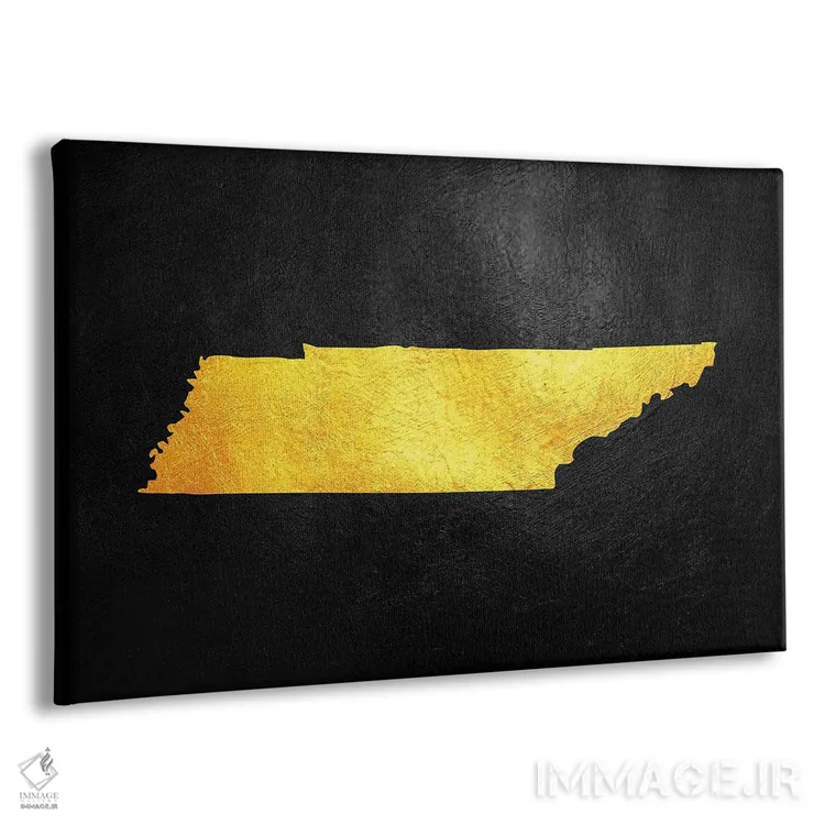 تابلو نقشه طلایی تنسی اثر آدریان بالدُوینو - نمای پرسپکتیو محصول