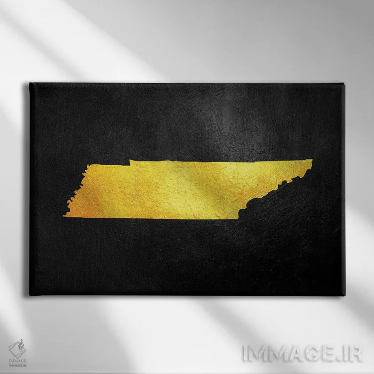 تابلو نقشه طلایی تنسی اثر آدریان بالدُوینو - نمای روبهرو روی دیوار