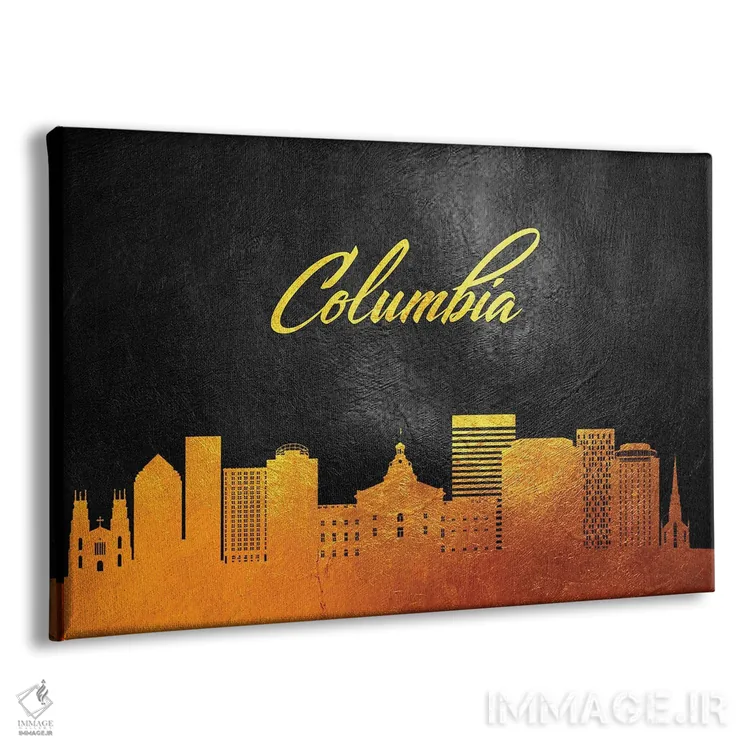 تابلو خط افق طلایی کلمبیا کارولینای جنوبی اثر آدریان بالدُوینو - نمای پرسپکتیو محصول