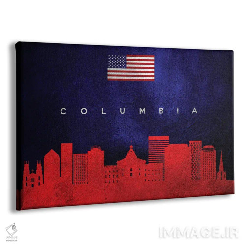 تابلو خط افق کلمبیا کارولینای جنوبی اثر آدریان بالدُوینو - نمای پرسپکتیو محصول