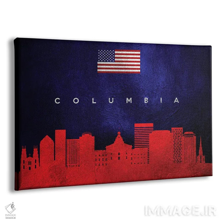 تابلو خط افق کلمبیا کارولینای جنوبی اثر آدریان بالدُوینو - نمای پرسپکتیو محصول