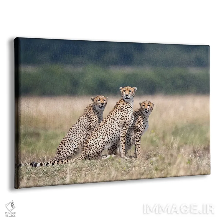 تابلو لطفاً توجه کنید! اثر آلساندرو کاتا - نمای پرسپکتیو محصول