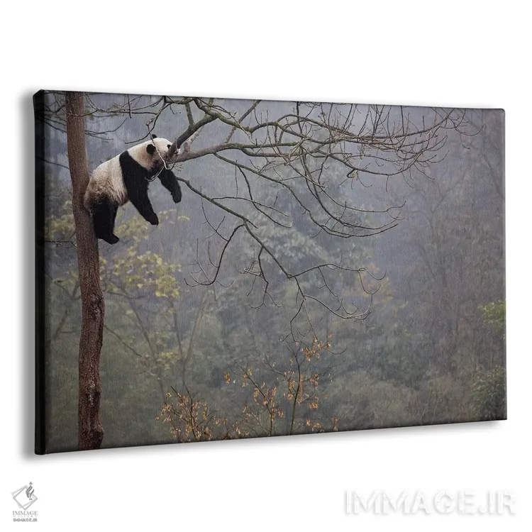 تابلو پاندای تنبل اثر آلساندرو کاتا - نمای پرسپکتیو محصول