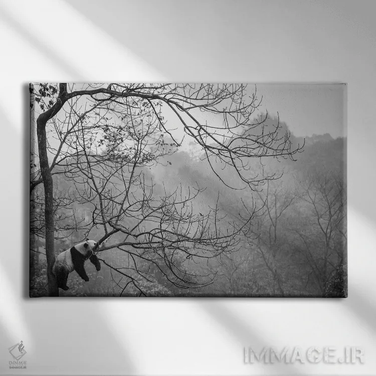 تابلو آرامش اثر آلساندرو کاتا - نمای روبهرو روی دیوار