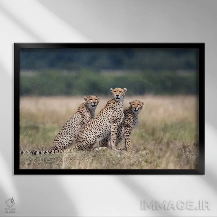 تابلو لطفاً توجه کنید! اثر آلساندرو کاتا - نمای قابدار مشکی