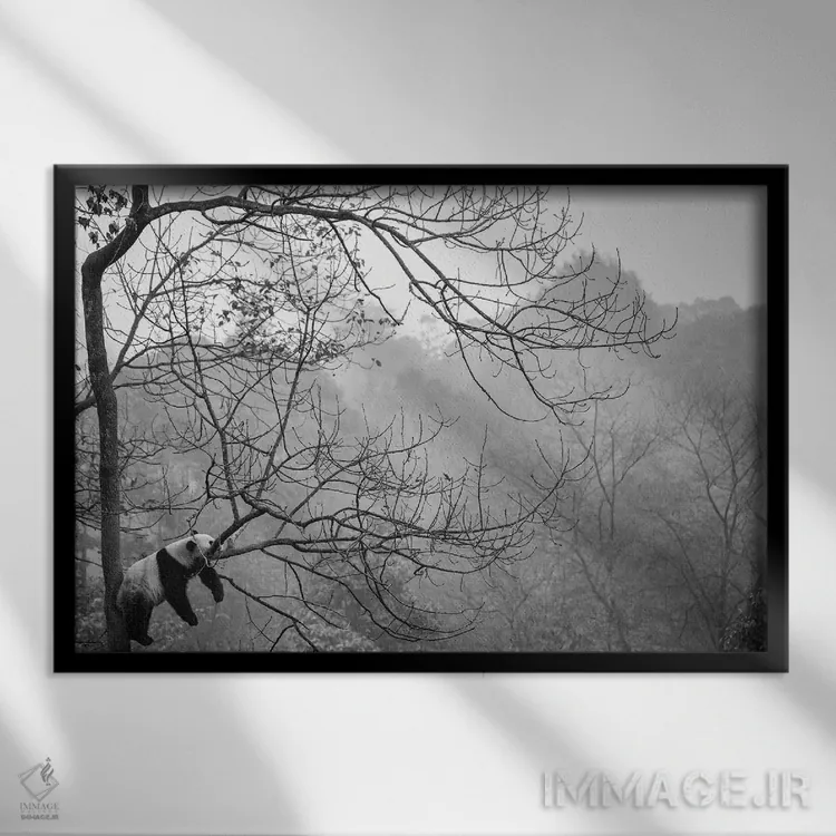 تابلو آرامش اثر آلساندرو کاتا - نمای قابدار مشکی