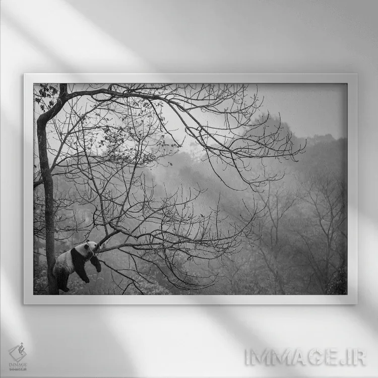 تابلو آرامش اثر آلساندرو کاتا - نمای قابدار سفید