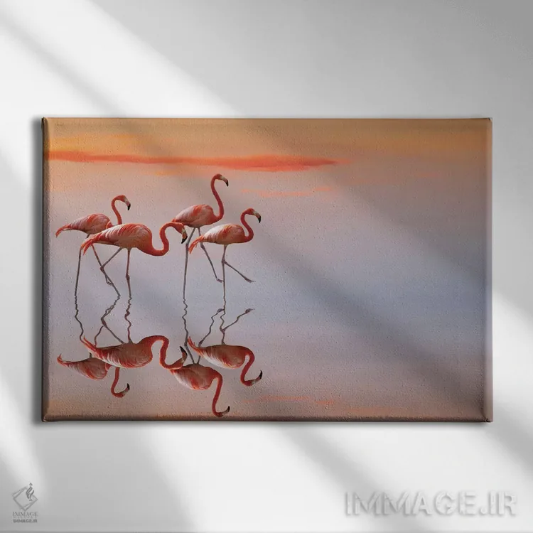 تابلو خانواده فلامینگوها اثر آنا چرزنیس - نمای روبهرو روی دیوار