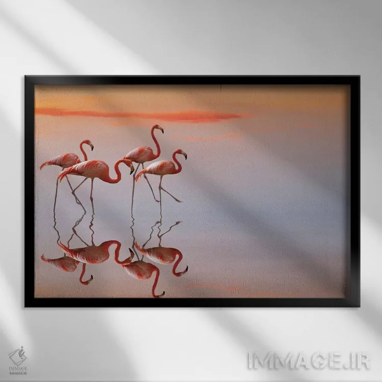 تابلو خانواده فلامینگوها اثر آنا چرزنیس - نمای قابدار مشکی