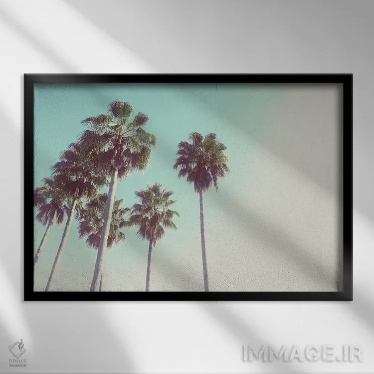 تابلو نخلها در برابر آسمان غروب اثر آکوستا - نمای قابدار مشکی