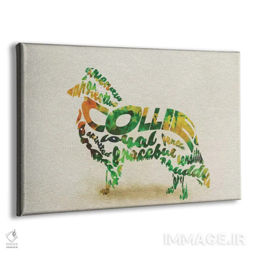 تابلو کولی (سگ چوپان اسکاتلندی) اثر آیشه دنیز آکِرمان - نمای پرسپکتیو محصول