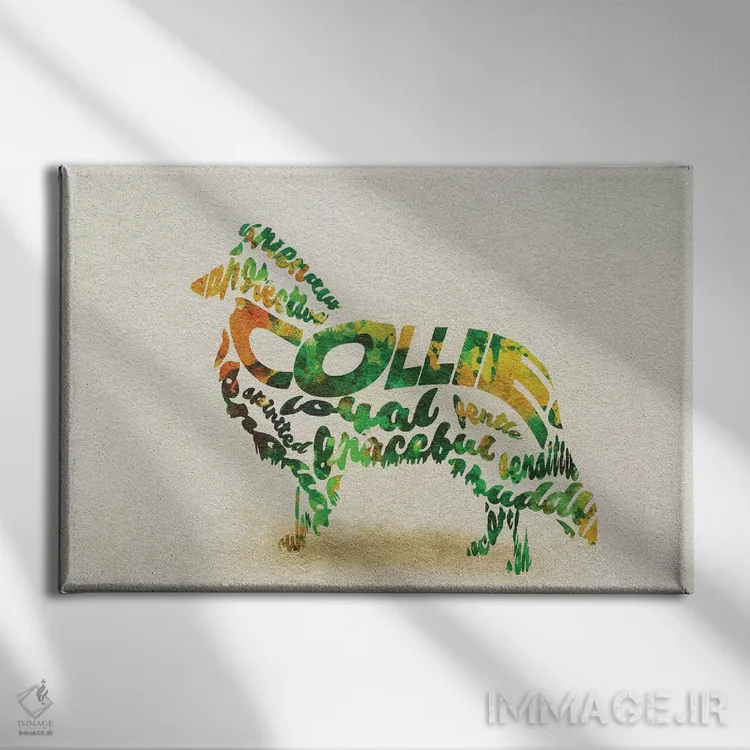 تابلو کولی (سگ چوپان اسکاتلندی) اثر آیشه دنیز آکِرمان - نمای روبهرو روی دیوار