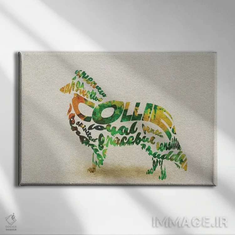 تابلو کولی (سگ چوپان اسکاتلندی) اثر آیشه دنیز آکِرمان - نمای روبهرو روی دیوار