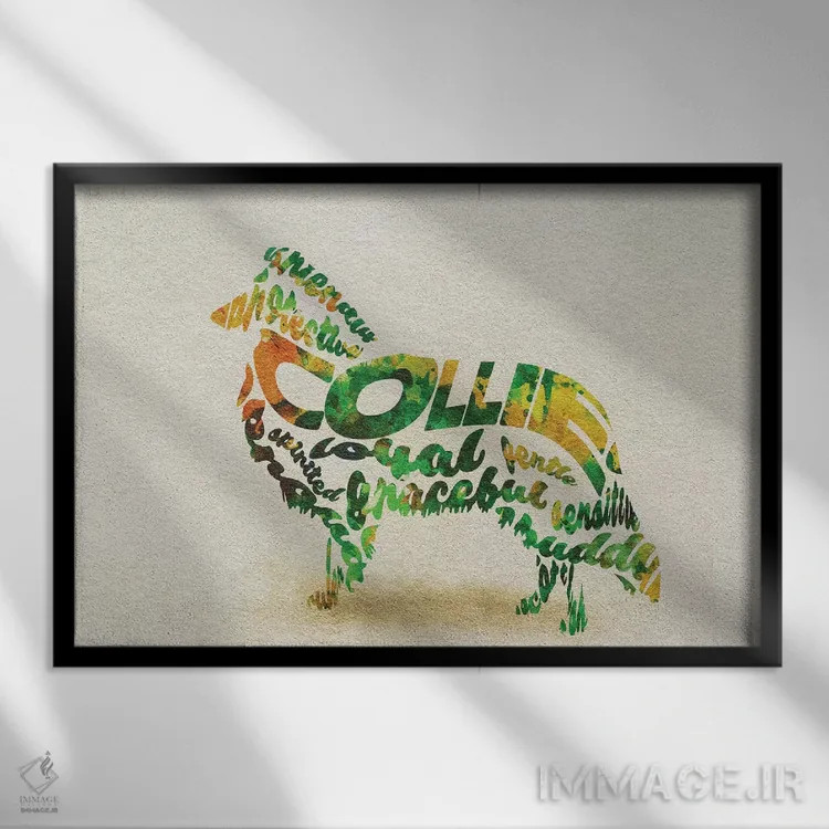 تابلو کولی (سگ چوپان اسکاتلندی) اثر آیشه دنیز آکِرمان - نمای قابدار مشکی