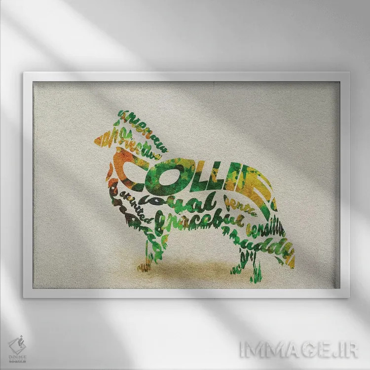 تابلو کولی (سگ چوپان اسکاتلندی) اثر آیشه دنیز آکِرمان - نمای قابدار سفید