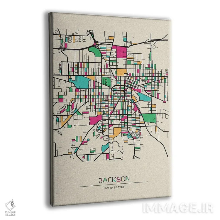 تابلو نقشه جکسون، میشیگان اثر آیشه دنیز آکِرمان - نمای پرسپکتیو محصول