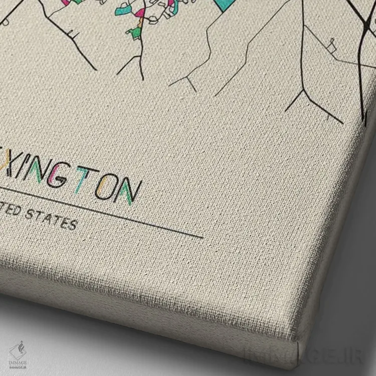 تابلو نقشهٔ لکسینگتون، کنتاکی اثر آیشه دنیز آکِرمان - نمای نزدیک بافت بوم