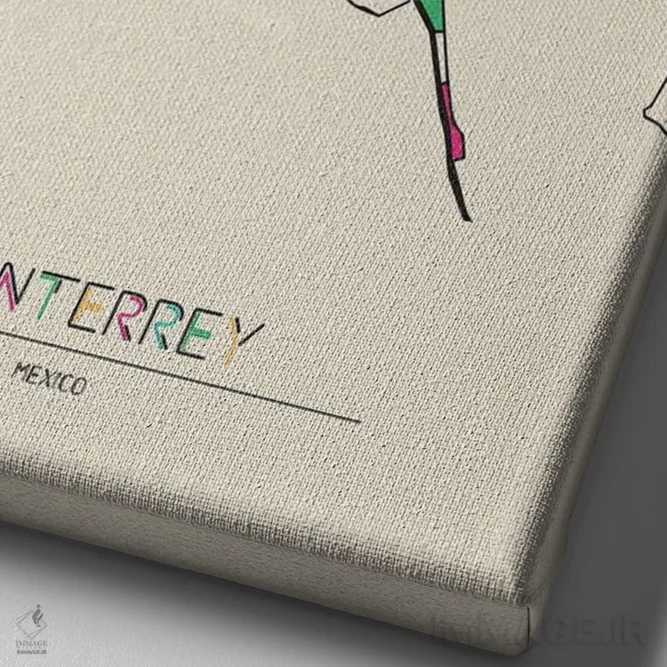 تابلو نقشهٔ مونتری، مکزیک اثر آیشه دنیز آکِرمان - نمای نزدیک بافت بوم