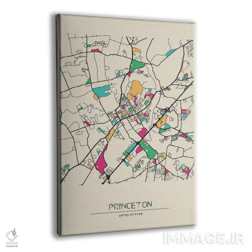تابلو نقشهٔ پرینستون، نیوجرسی اثر آیشه دنیز آکِرمان - نمای پرسپکتیو محصول