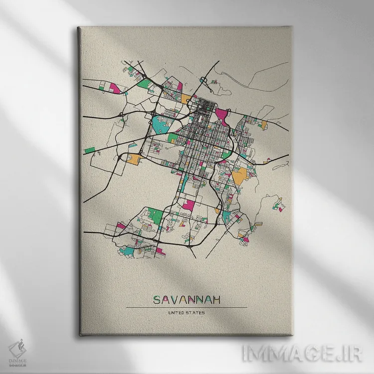 تابلو نقشهٔ ساوانا، جورجیا اثر آیشه دنیز آکِرمان - نمای روبهرو روی دیوار