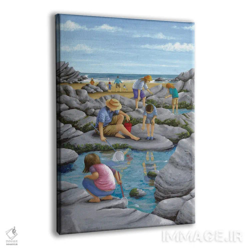 تابلو کشف حیات در حوضچههای ساحلی اثر پیتر آدرلی - نمای پرسپکتیو محصول