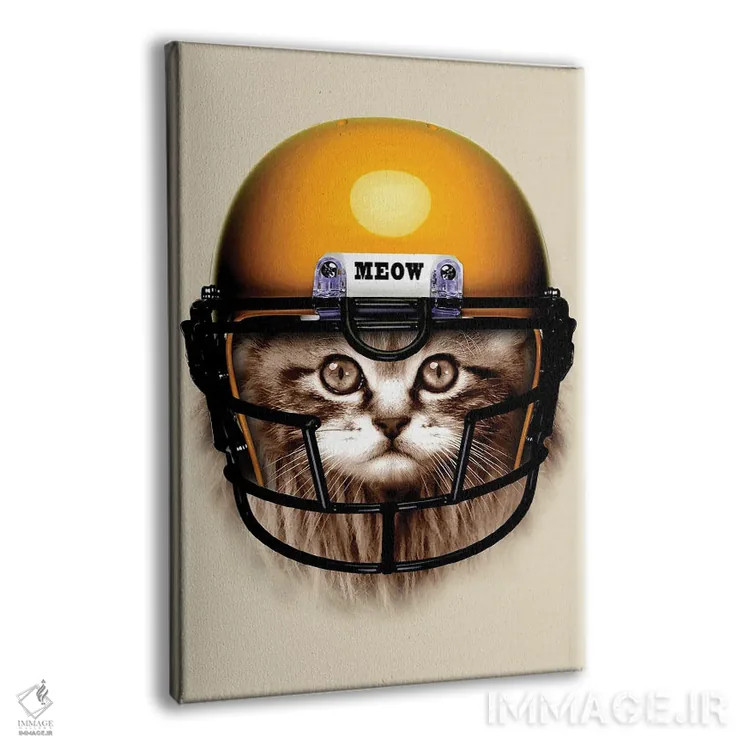 تابلو فوتبالیست شرور اثر آدام لاولس - نمای پرسپکتیو محصول