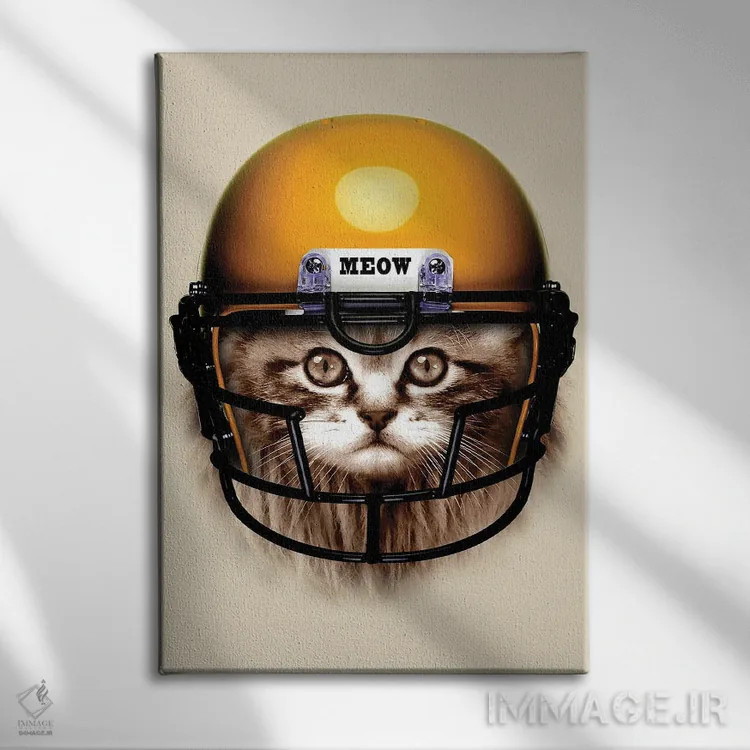 تابلو فوتبالیست شرور اثر آدام لاولس - نمای روبهرو روی دیوار