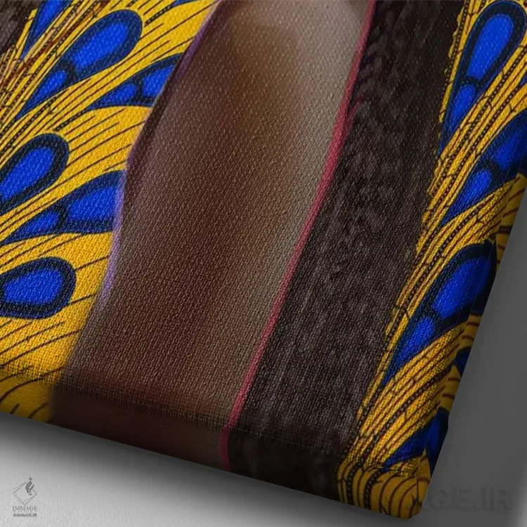 تابلو نمای نیمرخ اثر آدکونله آدلاکه - نمای نزدیک بافت بوم