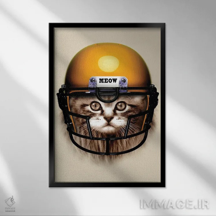 تابلو فوتبالیست شرور اثر آدام لاولس - نمای قابدار مشکی