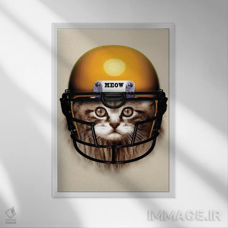 تابلو فوتبالیست شرور اثر آدام لاولس - نمای قابدار سفید