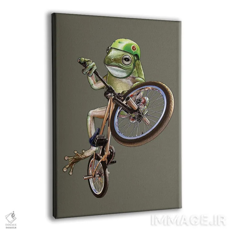 تابلو قورباغه BMX (دوچرخهسواری نمایشی) اثر آدام لاولس - نمای پرسپکتیو محصول