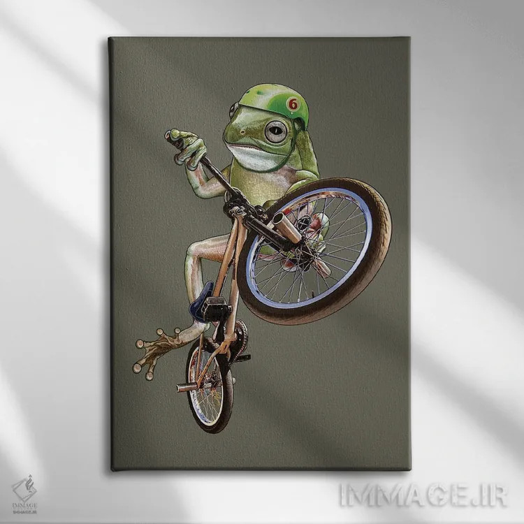 تابلو قورباغه BMX (دوچرخهسواری نمایشی) اثر آدام لاولس - نمای روبهرو روی دیوار