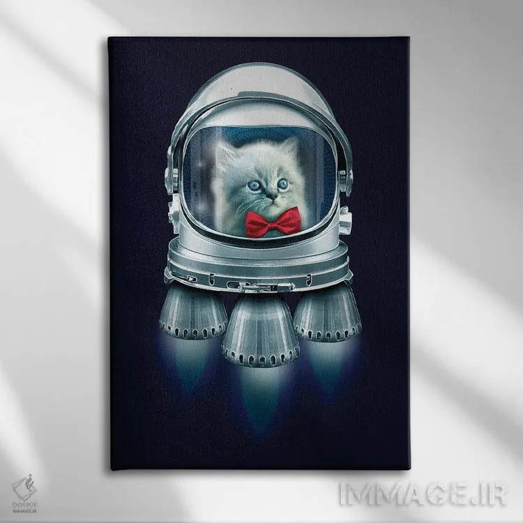 تابلو کازانووا (اسم معروف شخصیت) اثر آدام لاولس - نمای روبهرو روی دیوار