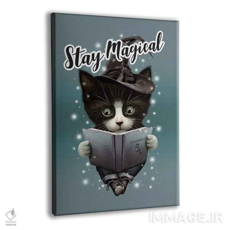 تابلو جادوگر اثر آدام لاولس - نمای پرسپکتیو محصول