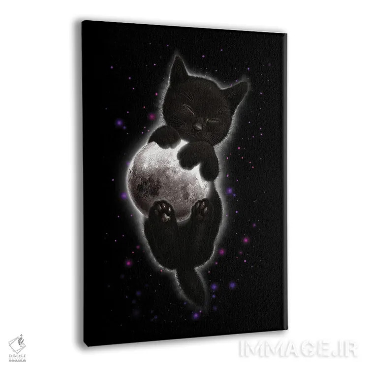 تابلو گربهای که ماه را در آغوش گرفته است اثر آدام لاولس - نمای پرسپکتیو محصول