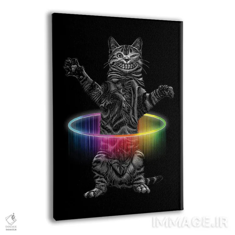 تابلو گربه با هولاهوپ اثر آدام لاولس - نمای پرسپکتیو محصول