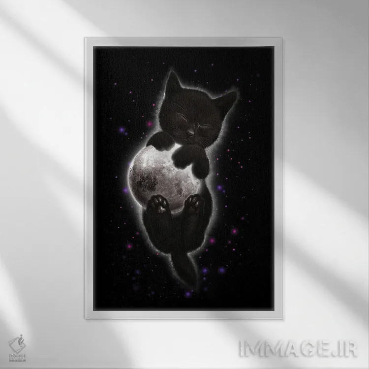 تابلو گربهای که ماه را در آغوش گرفته است اثر آدام لاولس - نمای قابدار سفید