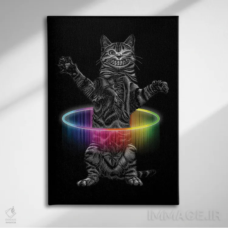 تابلو گربه با هولاهوپ اثر آدام لاولس - نمای روبهرو روی دیوار