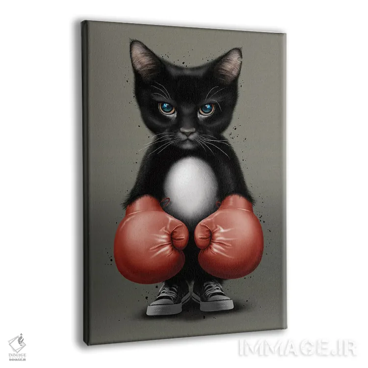 تابلو گربه بوکسور ۲۰۱۷ اثر آدام لاولس - نمای پرسپکتیو محصول