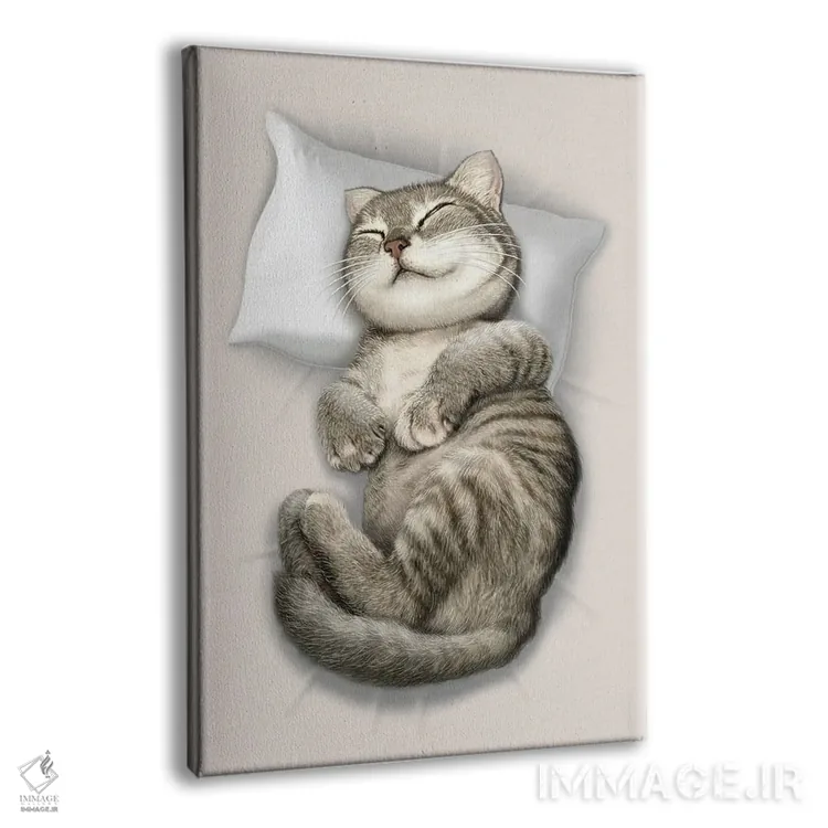 تابلو گربه خوابیده اثر آدام لاولس - نمای پرسپکتیو محصول