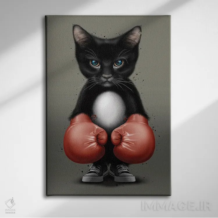 تابلو گربه بوکسور ۲۰۱۷ اثر آدام لاولس - نمای روبهرو روی دیوار