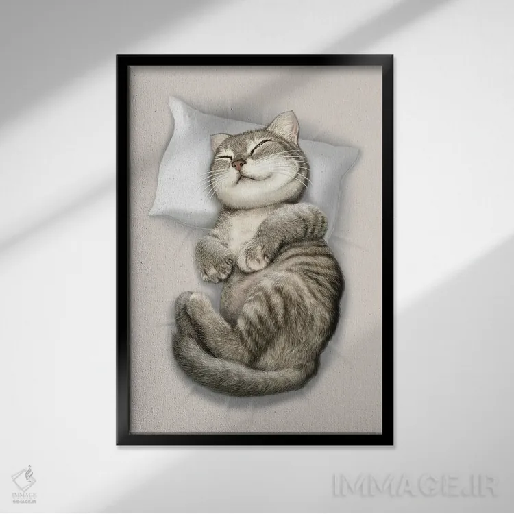 تابلو گربه خوابیده اثر آدام لاولس - نمای قابدار مشکی