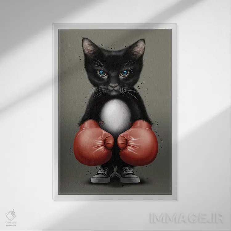 تابلو گربه بوکسور ۲۰۱۷ اثر آدام لاولس - نمای قابدار سفید